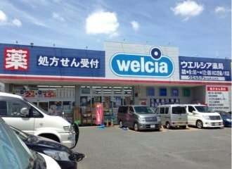 ウエルシア川口芝樋ノ爪店