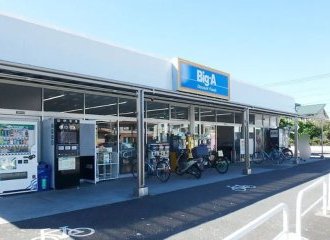ビッグ・エー川口芝店