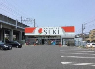 ドラックストアセキ与野西堀店